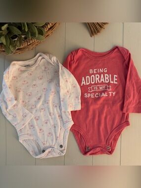 Baby Girl Onesie Set